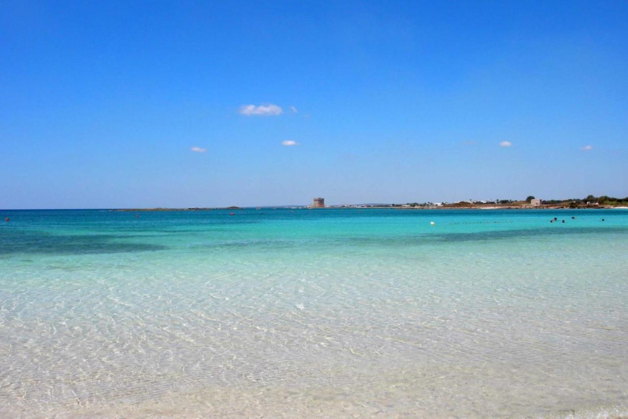 فيلا توري لابيلوفي La Baia Mare المظهر الخارجي الصورة